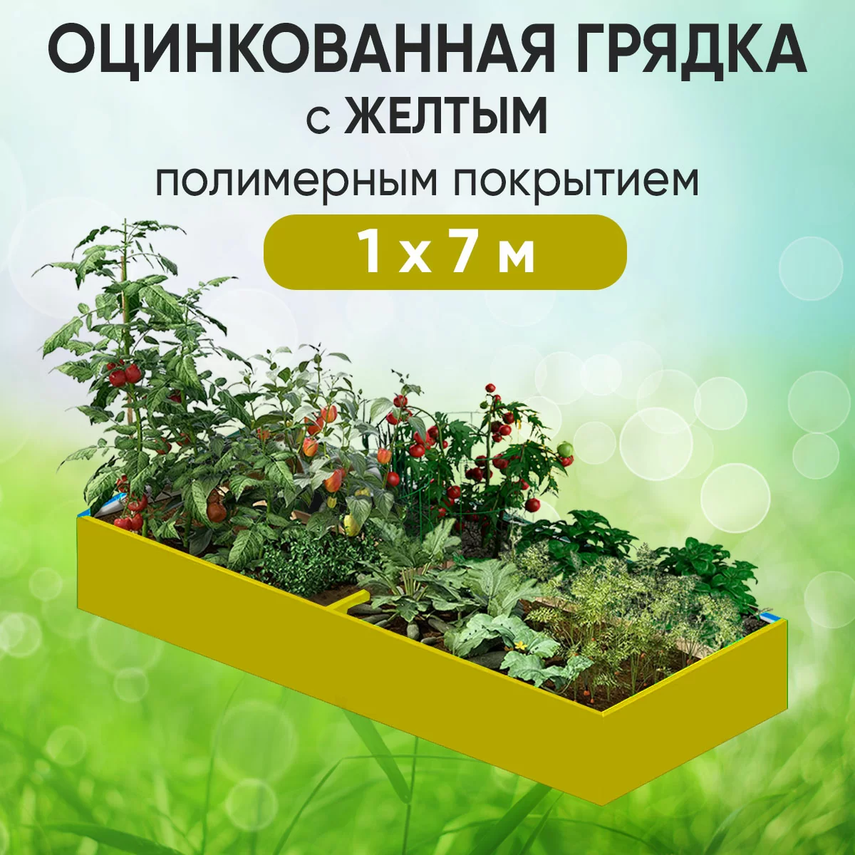 Грядка желтая (1 х 7)